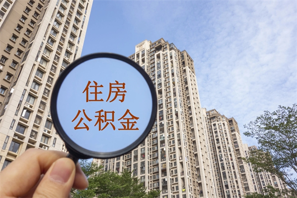 汝州离职后公司不给转公积金怎么办（离职后公司不给转社保怎么办）